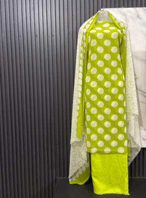 Ruhaniyat Georgette Suit Set